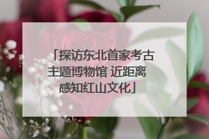 探访东北首家考古主题博物馆 近距离感知红山文化