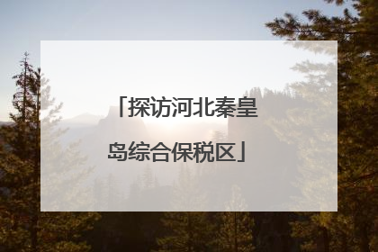 探访河北秦皇岛综合保税区