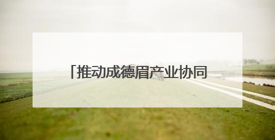 推动成德眉产业协同发展 成都高新区优质企业走进德阳和眉山