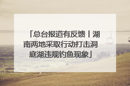 总台报道有反馈丨湖南两地采取行动打击洞庭湖违规钓鱼现象