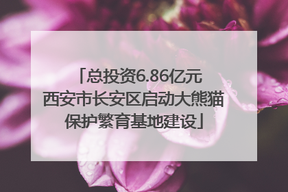 总投资6.86亿元 西安市长安区启动大熊猫保护繁育基地建设