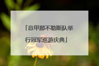 意甲那不勒斯队举行冠军巡游庆典