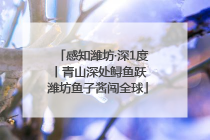 感知潍坊·深1度丨青山深处鲟鱼跃 潍坊鱼子酱闯全球