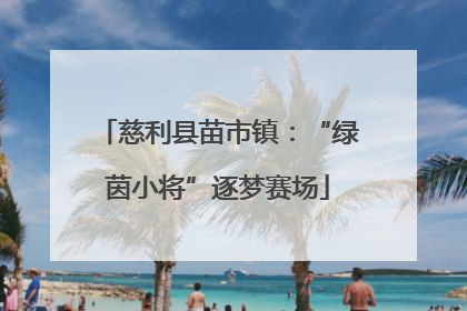 慈利县苗市镇：“绿茵小将”逐梦赛场