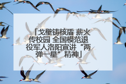 戈壁铸核盾 薪火传校园 全国模范退役军人洛阳宣讲“两弹一星”精神