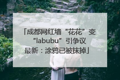 成都网红墙“花花”变“labubu”引争议 最新：涂鸦已被抹掉