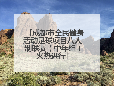 成都市全民健身活动足球项目八人制联赛（中年组）火热进行