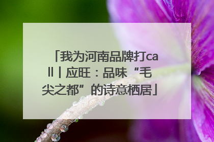 我为河南品牌打call丨应旺：品味“毛尖之都”的诗意栖居