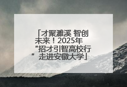 才聚濉溪 智创未来！2025年“招才引智高校行”走进安徽大学