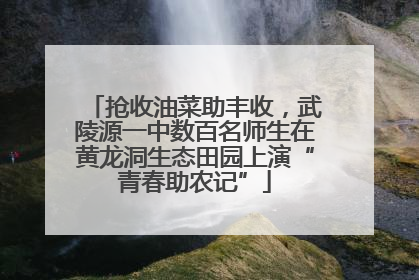 抢收油菜助丰收，武陵源一中数百名师生在黄龙洞生态田园上演“青春助农记”