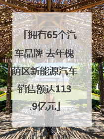拥有65个汽车品牌 去年槐荫区新能源汽车销售额达113.9亿元