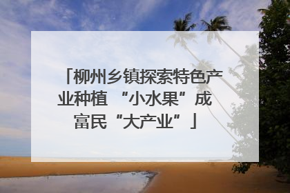 柳州乡镇探索特色产业种植 “小水果”成富民“大产业”