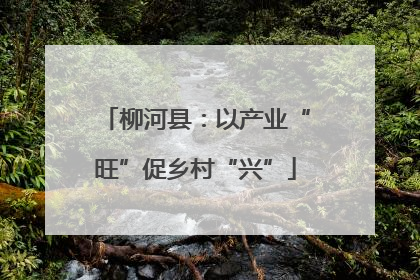 柳河县：以产业“旺”促乡村“兴”