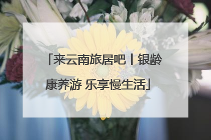 来云南旅居吧丨银龄康养游 乐享慢生活