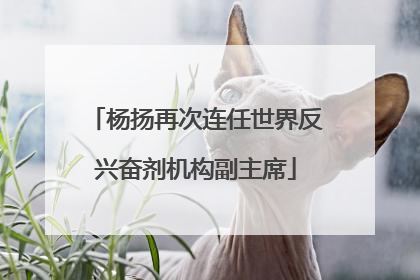 杨扬再次连任世界反兴奋剂机构副主席