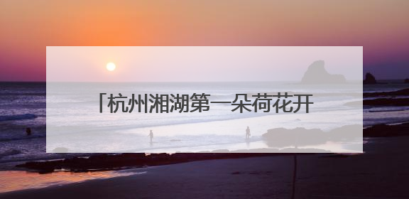 杭州湘湖第一朵荷花开了！西湖的还要再等等