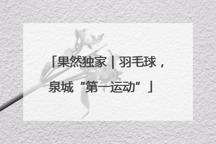 果然独家｜羽毛球，泉城“第一运动”