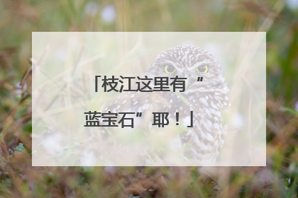 枝江这里有“蓝宝石”耶！