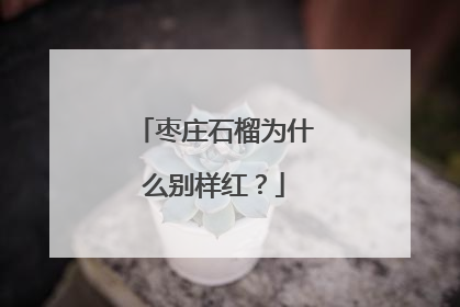 枣庄石榴为什么别样红？