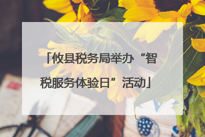 攸县税务局举办“智税服务体验日”活动