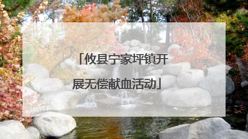 攸县宁家坪镇开展无偿献血活动