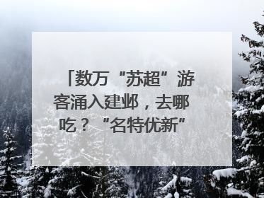 数万“苏超”游客涌入建邺，去哪吃？“名特优新”商户地图严选30家宝藏店铺