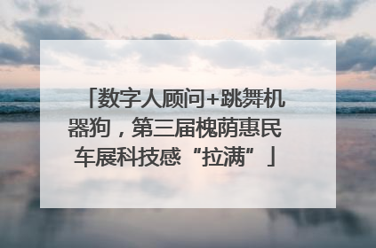 数字人顾问+跳舞机器狗，第三届槐荫惠民车展科技感“拉满”