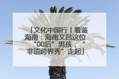 文化中国行丨看鉴海南：海南文昌这位“00后”男孩，“非遗跨界秀”走起