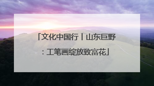 文化中国行丨山东巨野：工笔画绽放致富花
