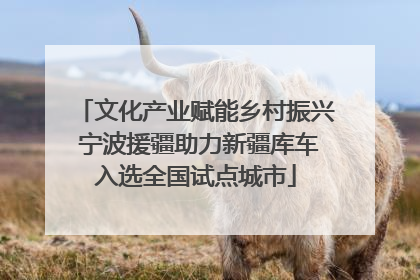 文化产业赋能乡村振兴 宁波援疆助力新疆库车入选全国试点城市