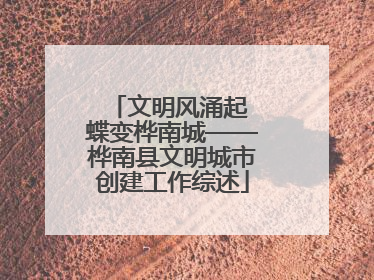 文明风涌起 蝶变桦南城——桦南县文明城市创建工作综述