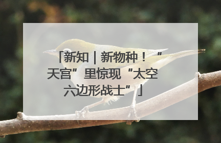 新知｜新物种！“天宫”里惊现“太空六边形战士”