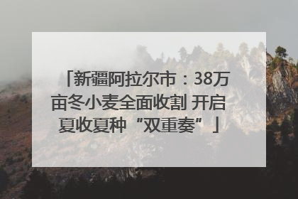 新疆阿拉尔市：38万亩冬小麦全面收割 开启夏收夏种“双重奏”