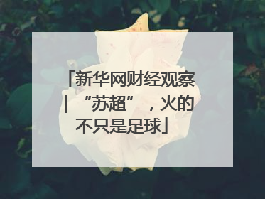 新华网财经观察｜“苏超”，火的不只是足球