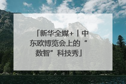 新华全媒+丨中东欧博览会上的“数智”科技秀