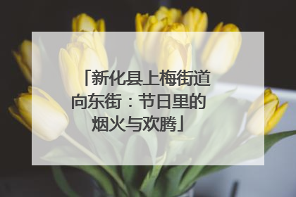新化县上梅街道向东街：节日里的烟火与欢腾