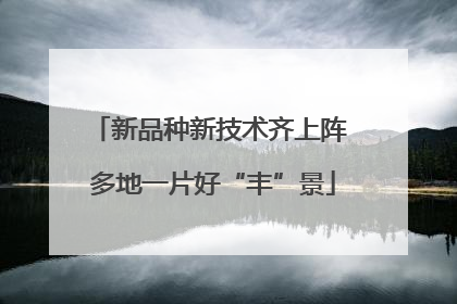 新品种新技术齐上阵 多地一片好“丰”景