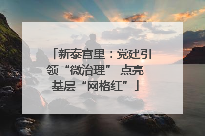 新泰宫里：党建引领“微治理” 点亮基层“网格红”