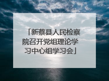 新蔡县人民检察院召开党组理论学习中心组学习会