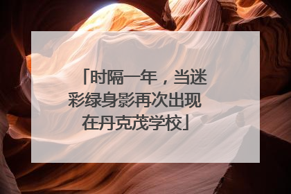 时隔一年，当迷彩绿身影再次出现在丹克茂学校