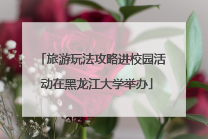 旅游玩法攻略进校园活动在黑龙江大学举办