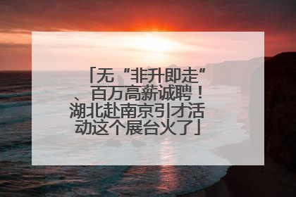 无“非升即走”、百万高薪诚聘！湖北赴南京引才活动这个展台火了