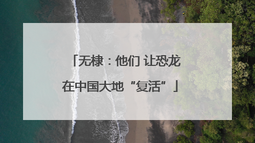 无棣：他们 让恐龙在中国大地“复活”