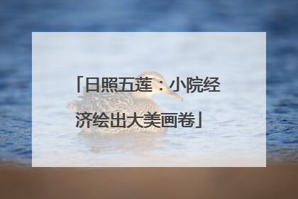 日照五莲：小院经济绘出大美画卷