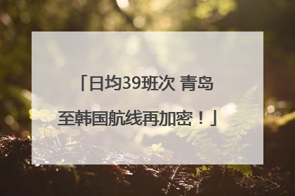 日均39班次 青岛至韩国航线再加密！