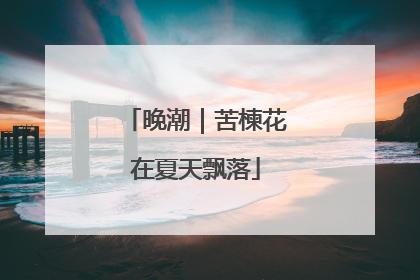 晚潮｜苦楝花在夏天飘落
