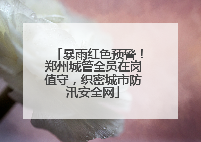 暴雨红色预警！郑州城管全员在岗值守，织密城市防汛安全网