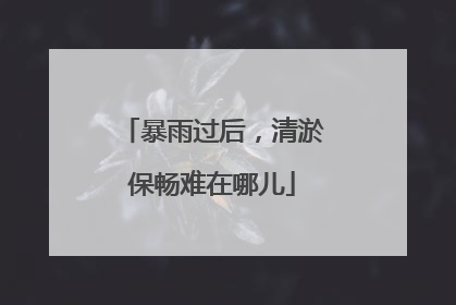 暴雨过后，清淤保畅难在哪儿