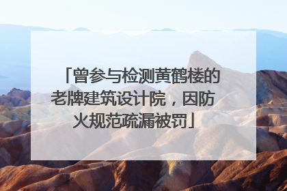 曾参与检测黄鹤楼的老牌建筑设计院，因防火规范疏漏被罚