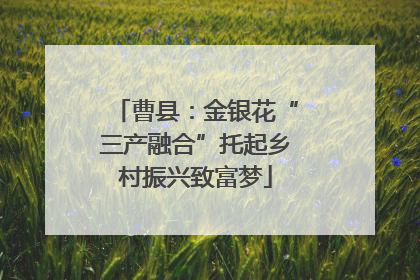 曹县：金银花“三产融合”托起乡村振兴致富梦